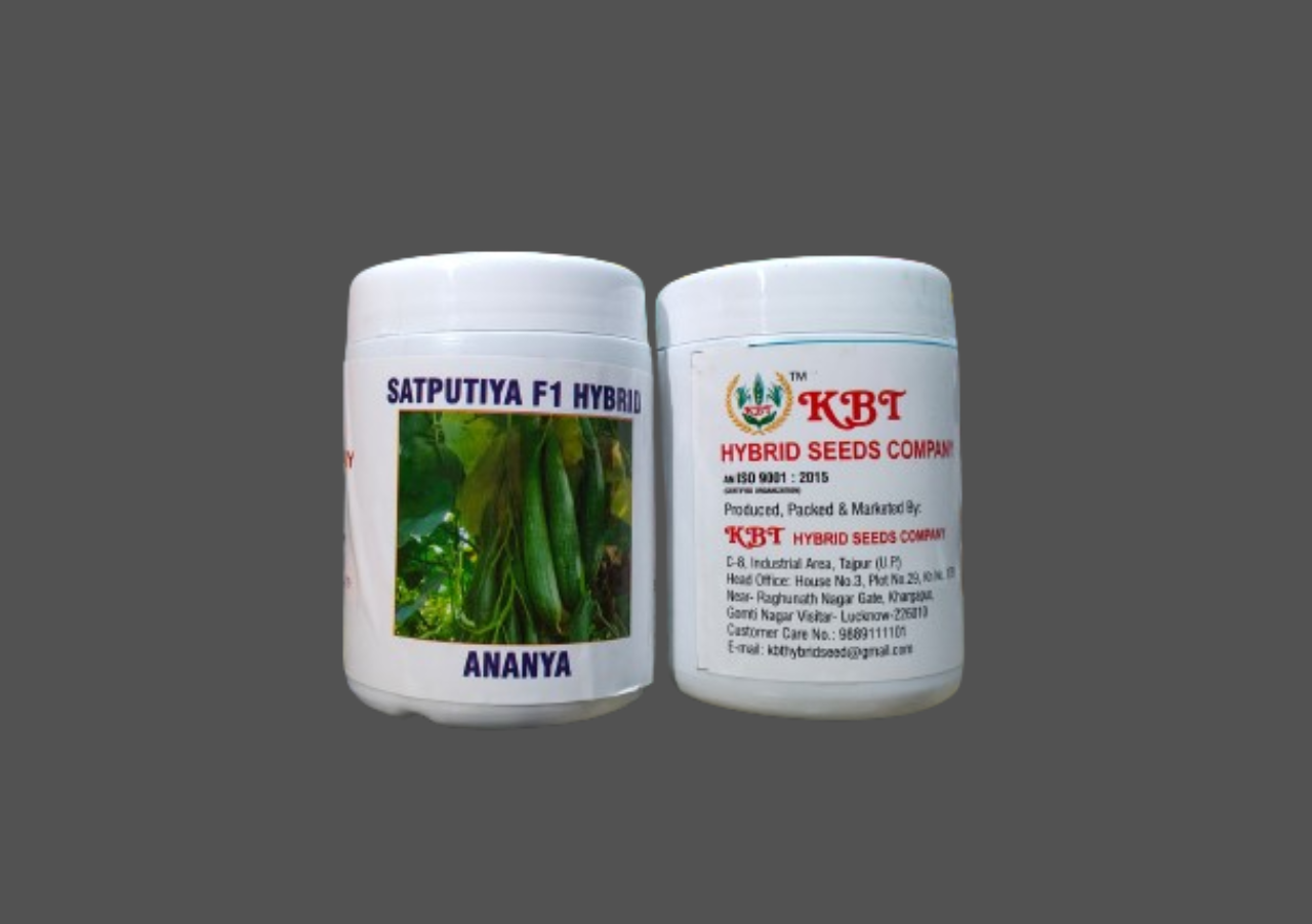 SATPUTIA  ( सतपुतिया ) F1 HYBRID - ANANYA 250g